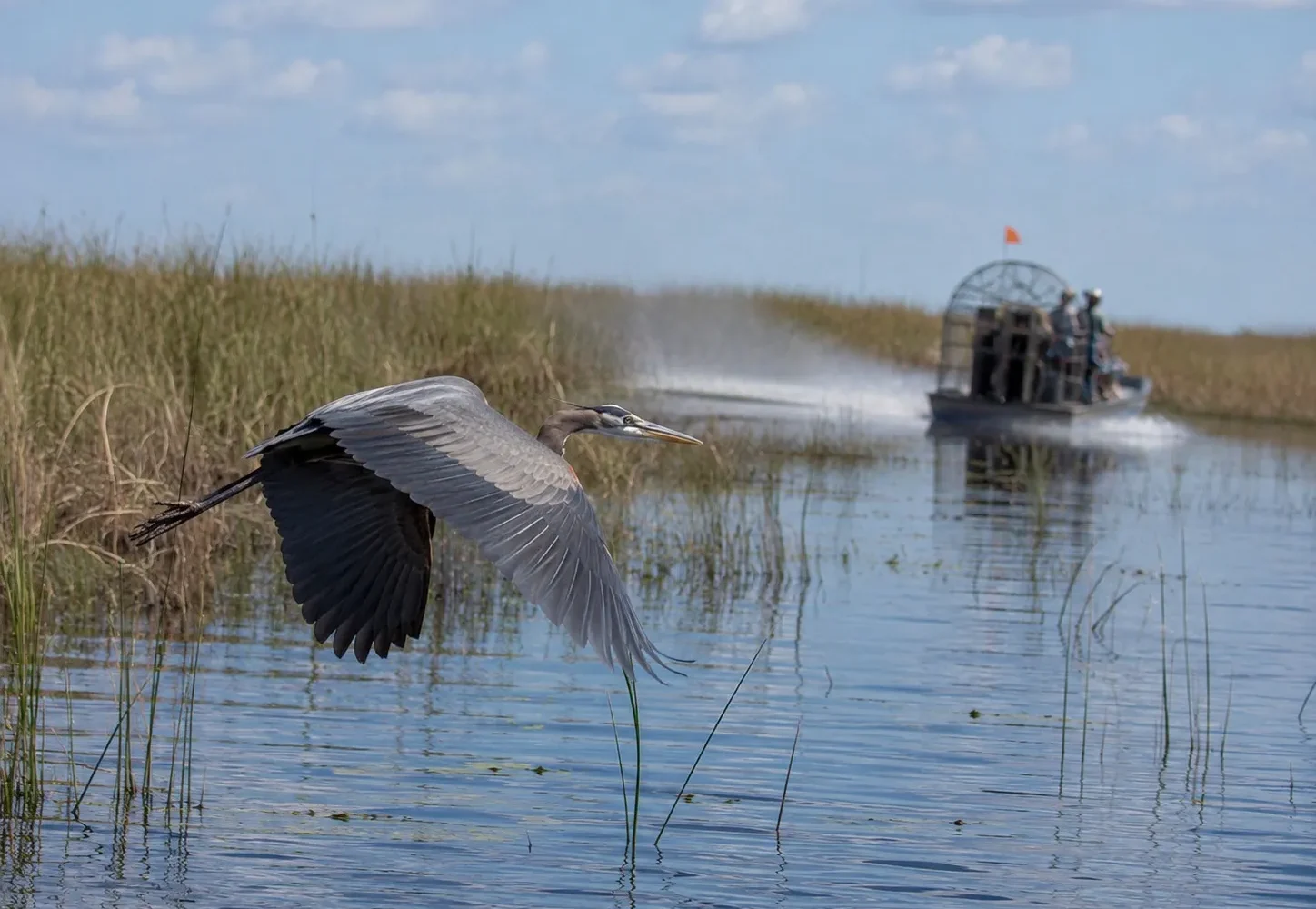 Miami Beach to Everglades airboat tour