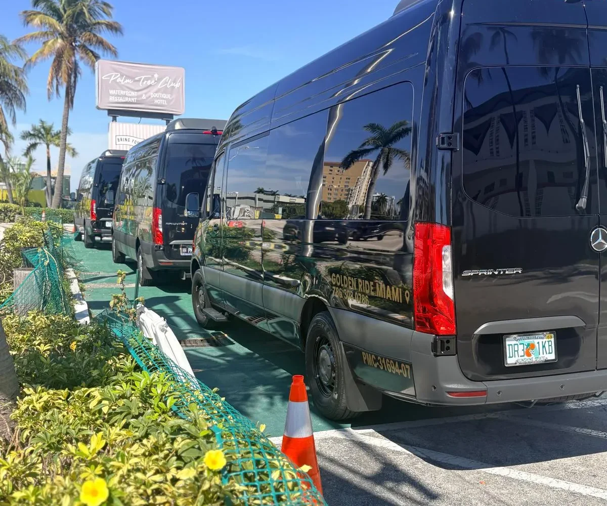 transporte particular para famílias nos Everglades
