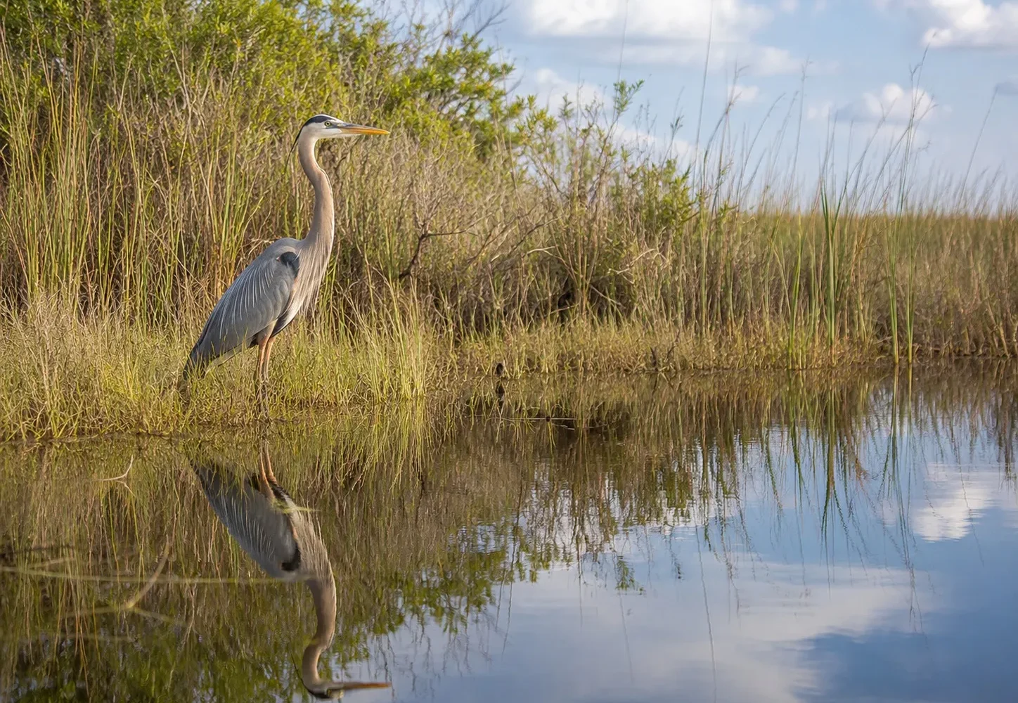 shared Everglades airboat tour from Miami Beach