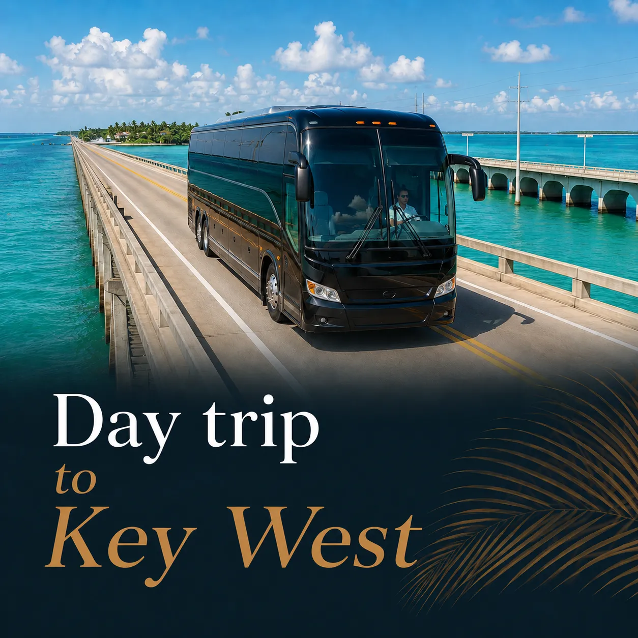 day trip to key west from miami beach